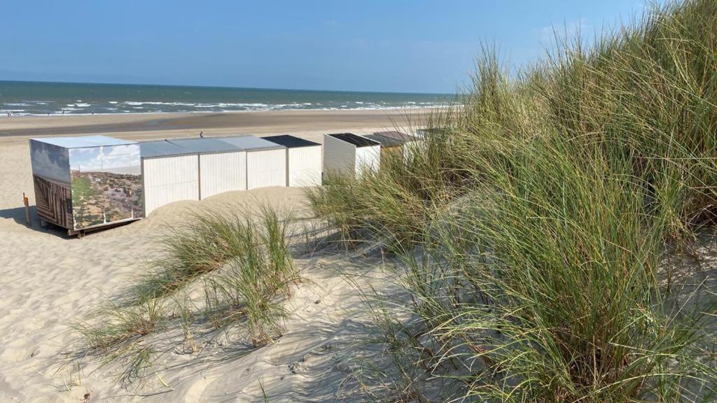 Strandhotel Dennenbos Oostkapelle Exteriör bild